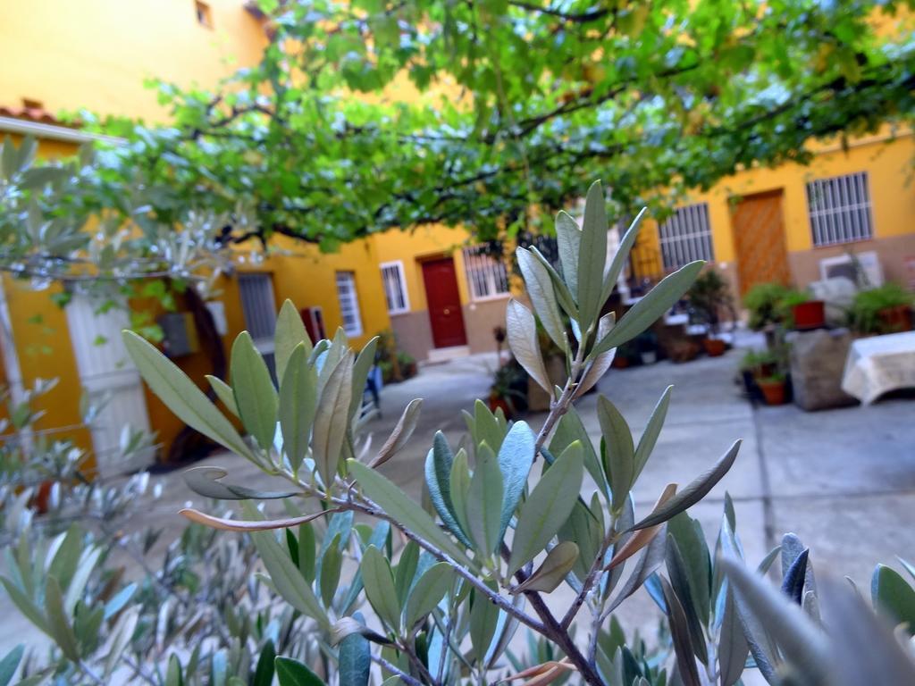 Apartment Olivar Madri Quarto foto